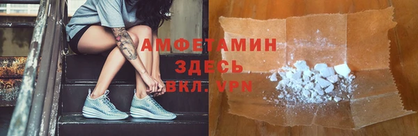 прущие грибы Баксан