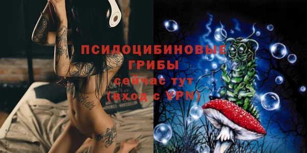 прущие грибы Баксан