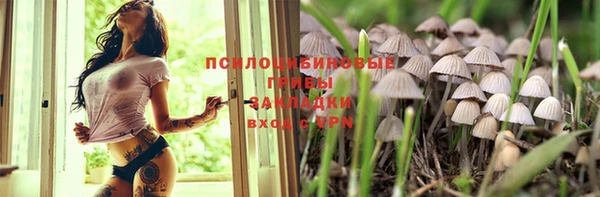 прущие грибы Баксан