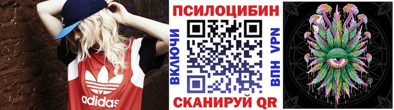 Галлюциногенные грибы Cubensis  Великие Луки 